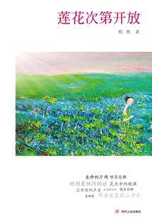 金刚经正解图片