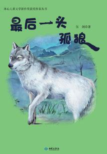 手持华严经的佛像是谁的