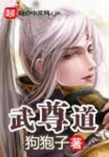 藏地密码的推荐ppt